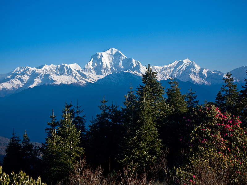himalayan-sunrise-trek-ghorepani-poon-hillghandruk-3sisters-3to5day-trekking-nepal.jpg